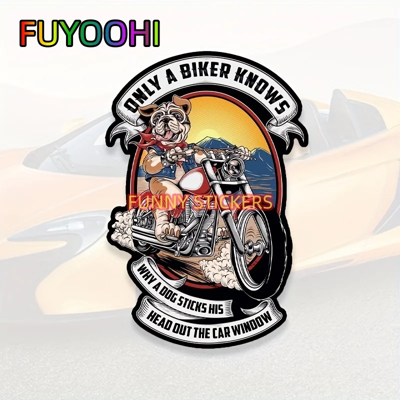 FUYOOHI Only A Biker Knows Why A Dog Sticks His Head Out The Car Window Decal For Cars, Trucks, Motorcycles, Boats & Laptops
FUYOOHI Only A Biker Knows Why A Dog Sticks His Head Out The Car Window Decal For Cars, Trucks, Motorcycles, Boats & Laptops