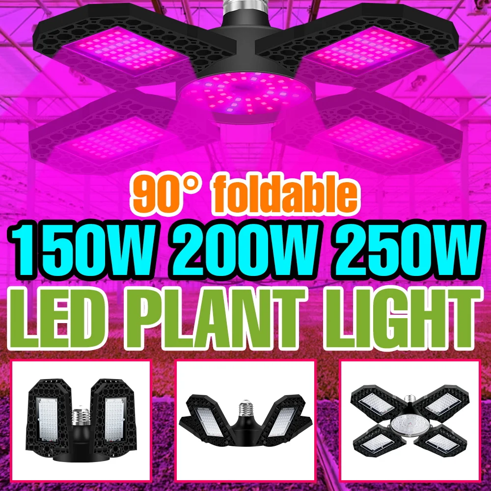 Светодиодная лампа для выращивания растений 250 Вт, полный спектр, 220 В, для домашнего выращивания, E27/E26, деформируемая, для цветов, семян, овощей, дополнительное освещение
Светодиодная лампа для выращивания растений 250 Вт, полный спектр, 220 В, для домашнего выращивания, E27/E26, деформируемая, для цветов, семян, овощей, дополнительное освещение
