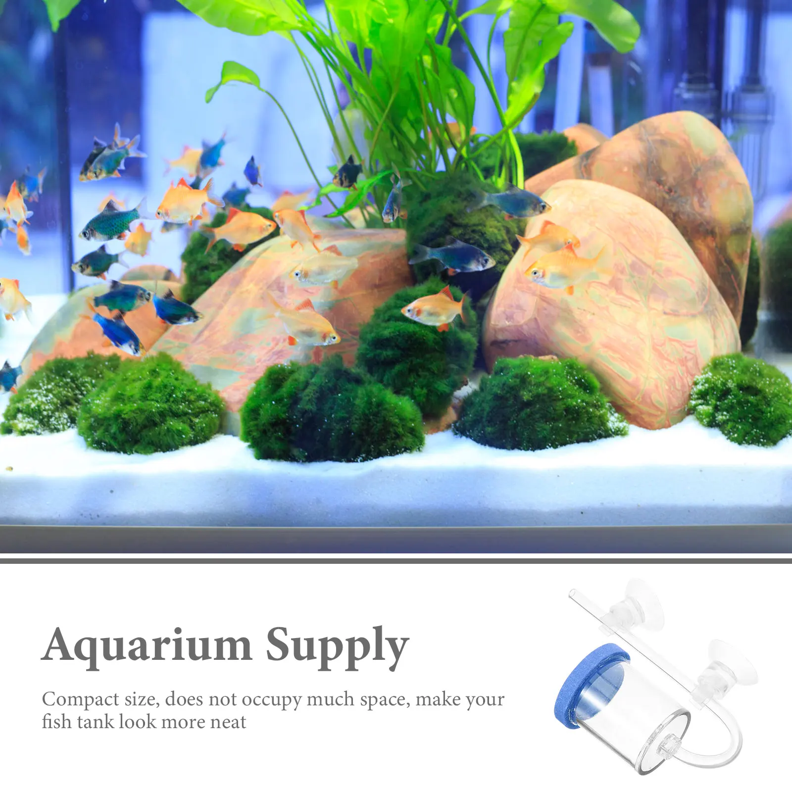 Sturdy Durable CO2 Fish Tank Oxygen Diffuser Air Bubbler Bubble Stone Aquarium Supply Compact Size Healthy Lively 
Sturdy Durable CO2 Fish Tank Oxygen Diffuser Air Bubbler Bubble Stone Aquarium Supply Compact Size Healthy Lively