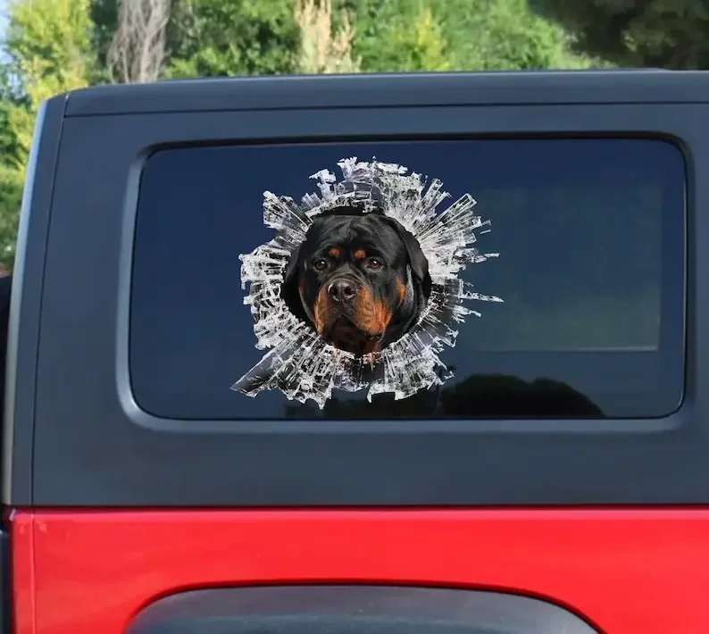 Rottweiler window decal, Rottweiler sticker, Rottweiler car decal, rott car decal
Rottweiler window decal, Rottweiler sticker, Rottweiler car decal, rott car decal