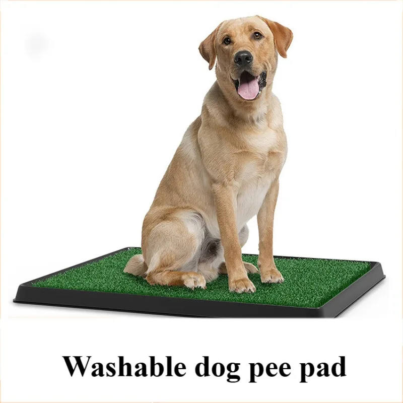 Pet Lawn Toilet Mat Waterproof Indoor Toilet Can Replace Urine Waterproof Washable Dog Pee Pad Pet Clean Products Accessories
Pet Lawn Toilet Mat Waterproof Indoor Toilet Can Replace Urine Waterproof Washable Dog Pee Pad Pet Clean Products Accessories