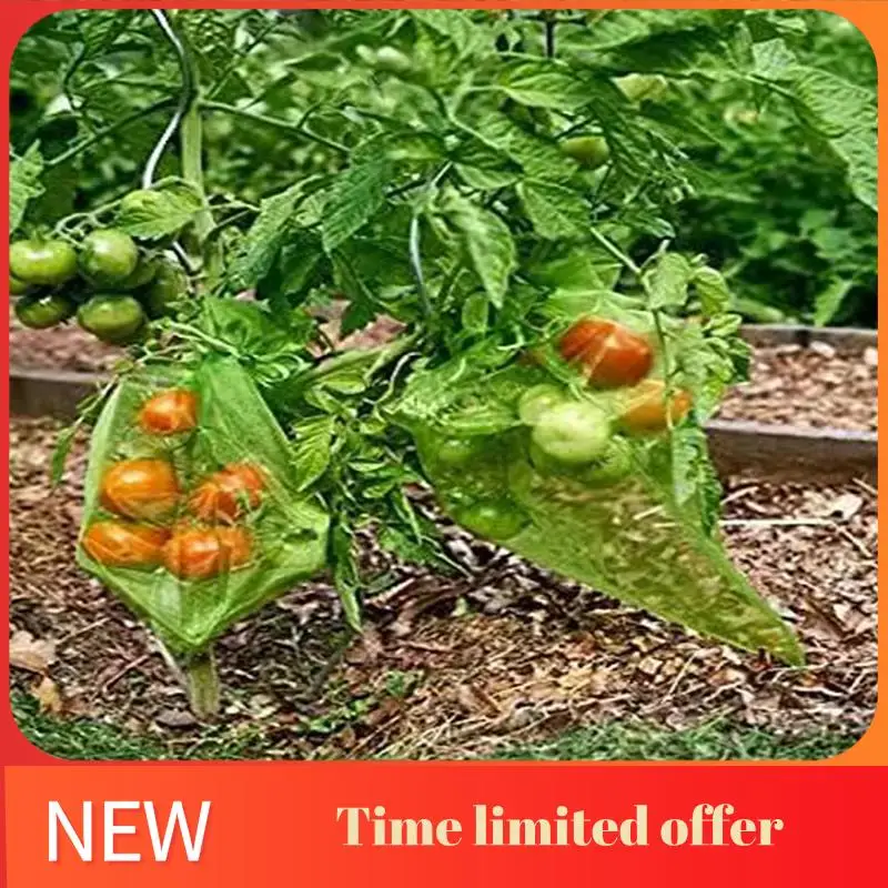 100Pcs Fruit Netting Bags 6X8in 12X8in Fruit Netting Bags For Fruit Trees Fruit Cover Mesh Bag For Plant Fruit Flower
100Pcs Fruit Netting Bags 6X8in 12X8in Fruit Netting Bags For Fruit Trees Fruit Cover Mesh Bag For Plant Fruit Flower