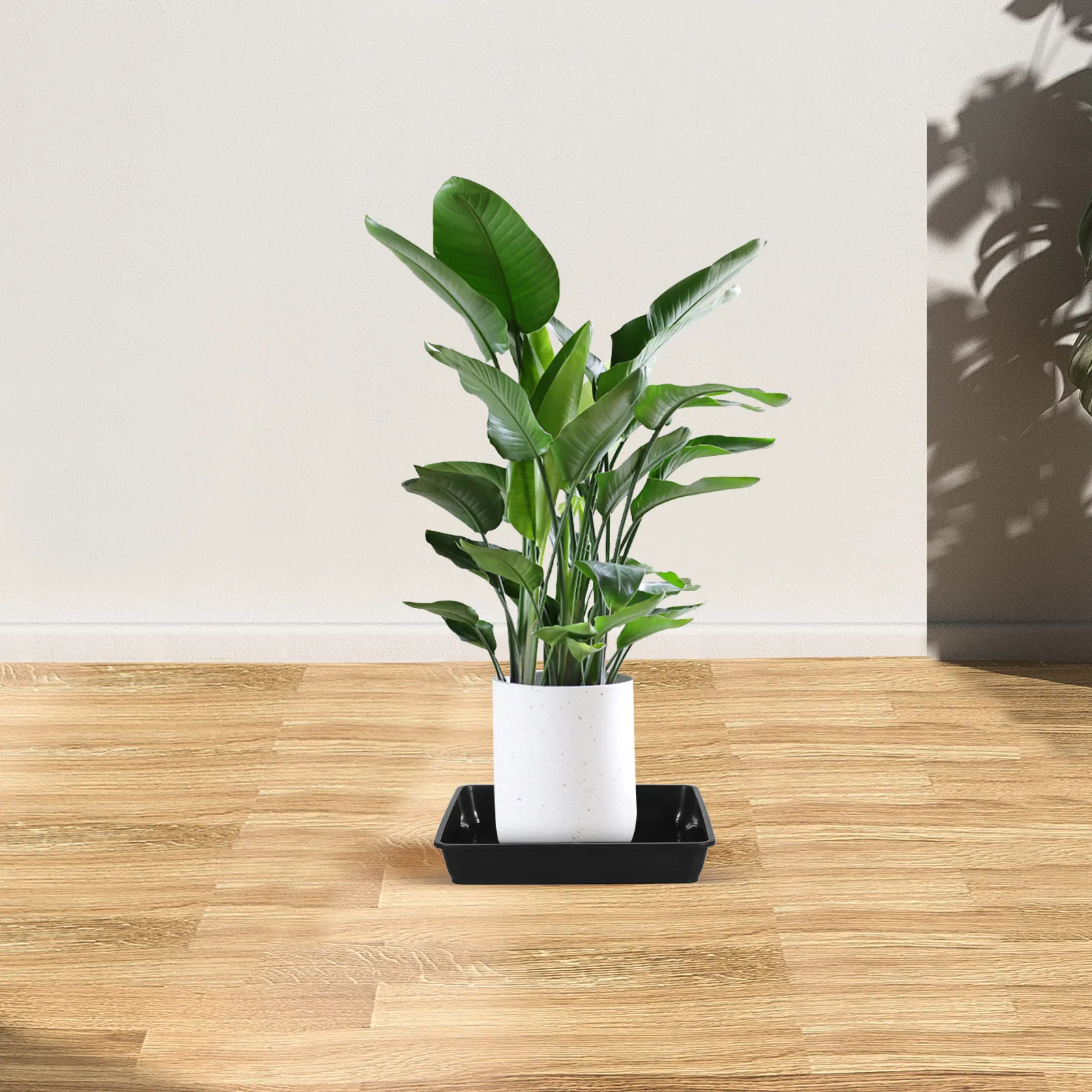12pcs Black Square Flowerpot Trays Plant Bottom Mats Saucers Water Plates Gardening Bonsai Holders
12pcs Black Square Flowerpot Trays Plant Bottom Mats Saucers Water Plates Gardening Bonsai Holders