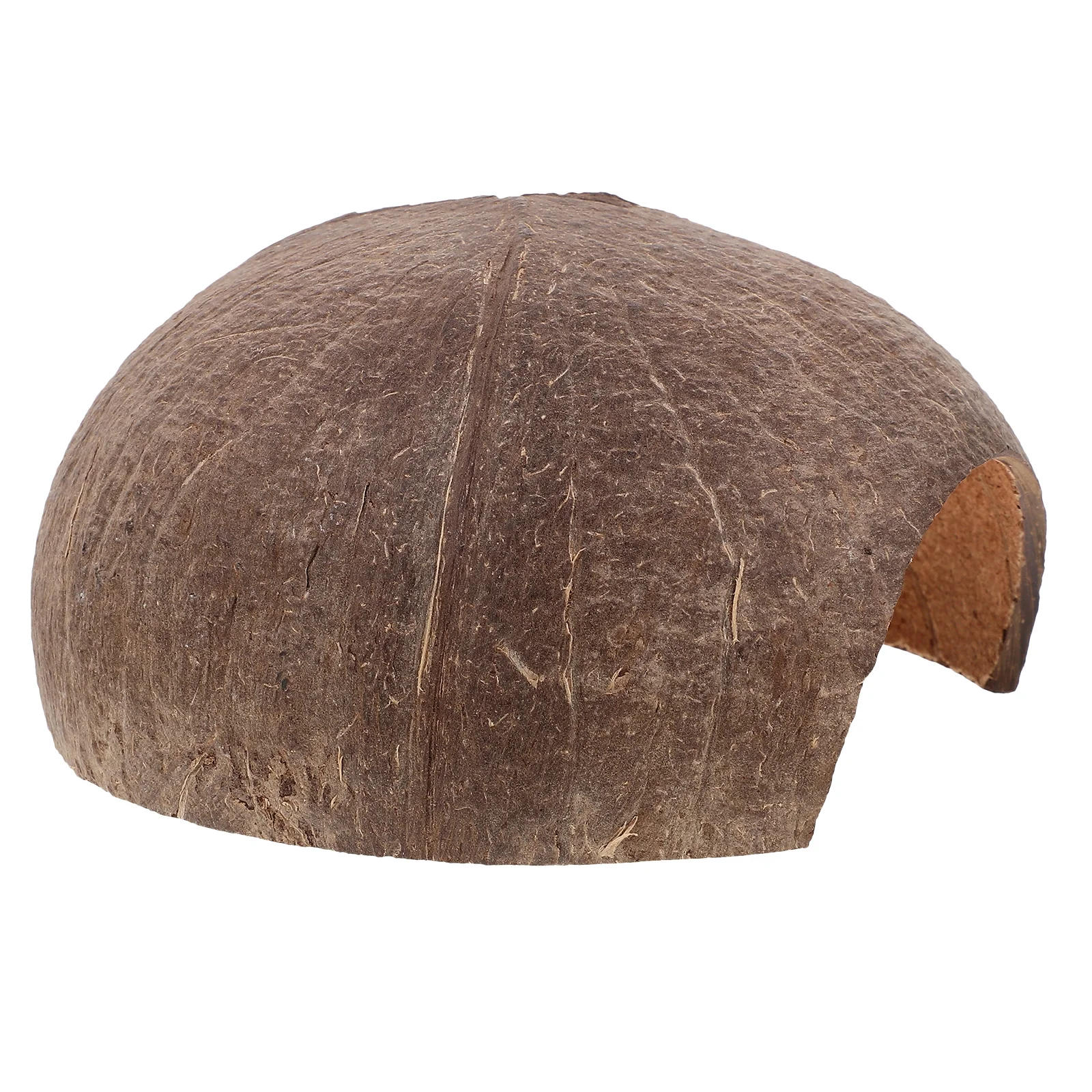 Coconut Shell Shelter Creative Turtle Ramp Delicate Reptile Cave Bearded Dragon Hideout Coffee Hiding Place
Coconut Shell Shelter Creative Turtle Ramp Delicate Reptile Cave Bearded Dragon Hideout Coffee Hiding Place