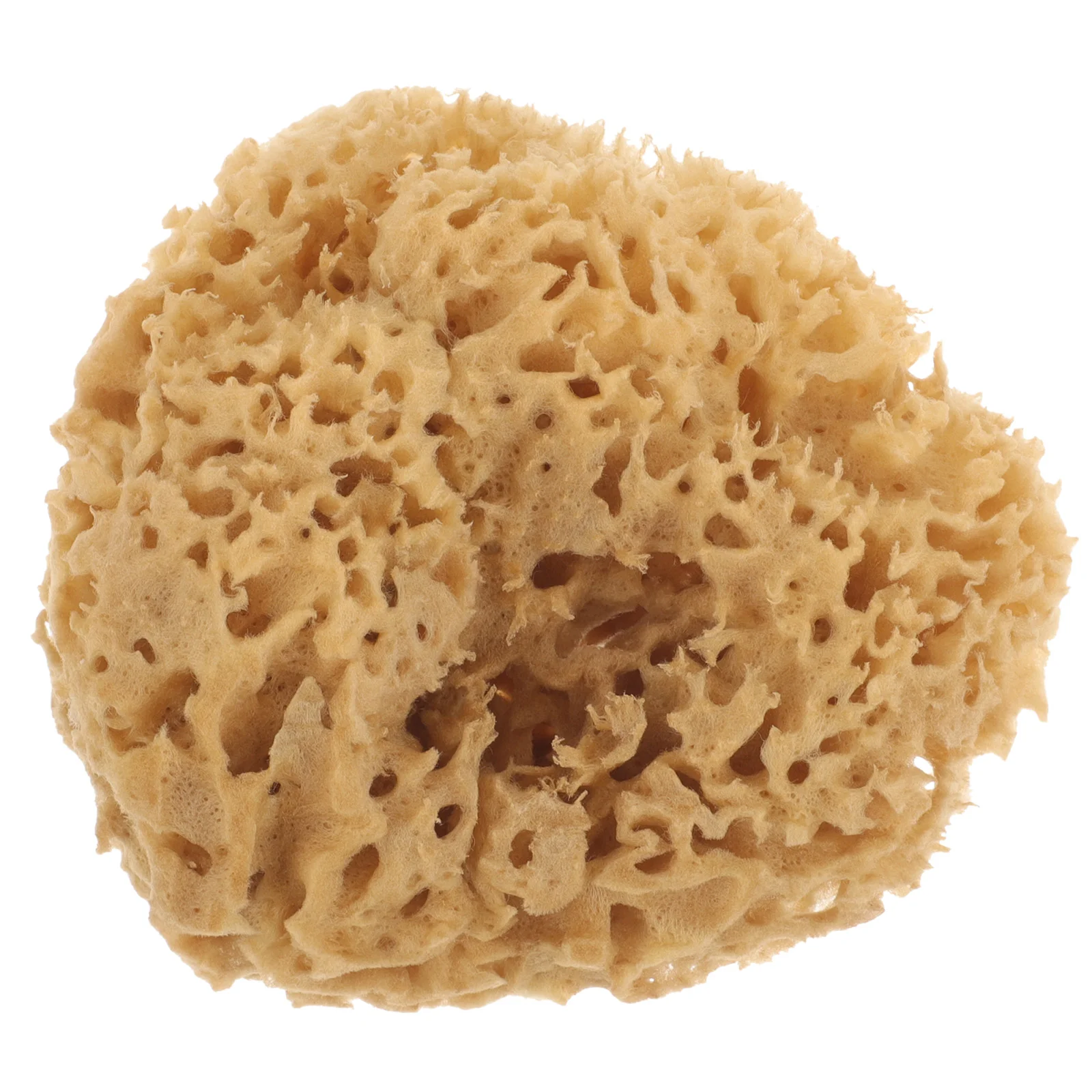 Sponges for Scrubber Shower Seaweed Portable Bath Ball Body Household Baby Handled
Sponges for Scrubber Shower Seaweed Portable Bath Ball Body Household Baby Handled