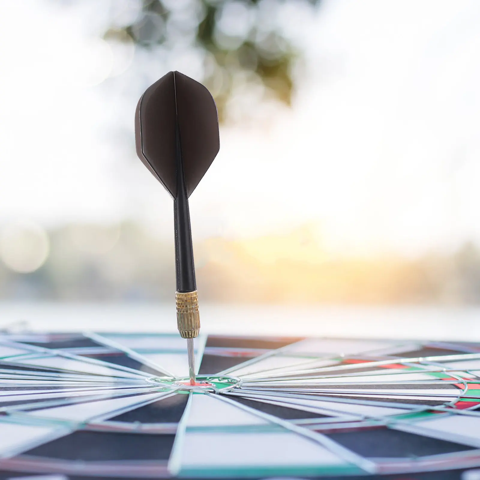 20Pcs Flights for Wear-Resistant Plastic Tails with Fine Craftsmanship Lightweight Balanced Wings Replacement Parts Game
20Pcs Flights for Wear-Resistant Plastic Tails with Fine Craftsmanship Lightweight Balanced Wings Replacement Parts Game