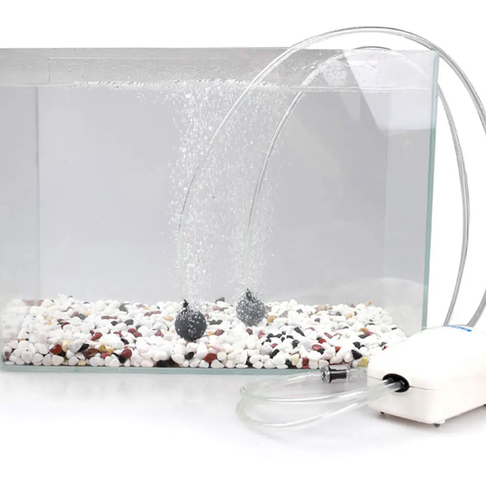 20pcs Ball Bubbler Diffuser For Fish Tank Aquarium Oxygenation System Lightweight Compact Bubbler Diffuser
20pcs Ball Bubbler Diffuser For Fish Tank Aquarium Oxygenation System Lightweight Compact Bubbler Diffuser