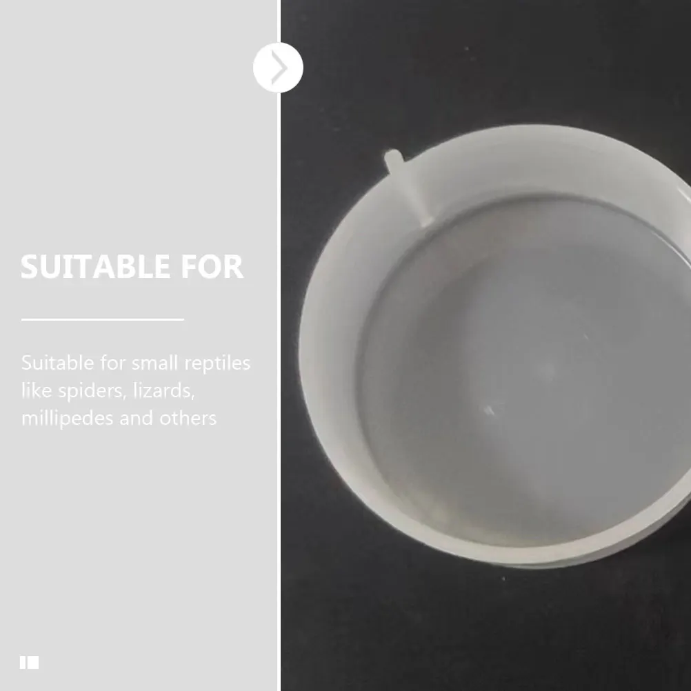 6 Pcs Reptile Feed Bowls Durable Spider Frog Feeders Food Water Lizard Plates Accessories Premium Material Small Reptiles
6 Pcs Reptile Feed Bowls Durable Spider Frog Feeders Food Water Lizard Plates Accessories Premium Material Small Reptiles