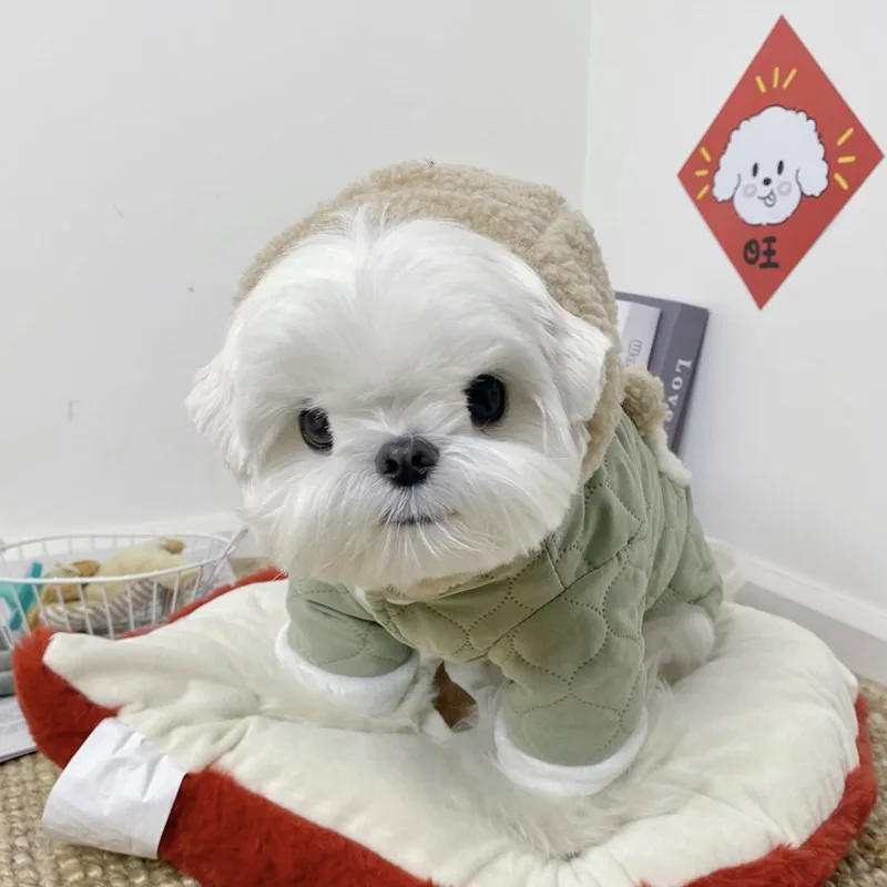 Утепленный комбинезон с капюшоном для собак: теплая одежда для тедди и бишон фризе, с мультяшным принтом, зимние товары для животных, подарки для питомцев
Утепленный комбинезон с капюшоном для собак: теплая одежда для тедди и бишон фризе, с мультяшным принтом, зимние товары для животных, подарки для питомцев