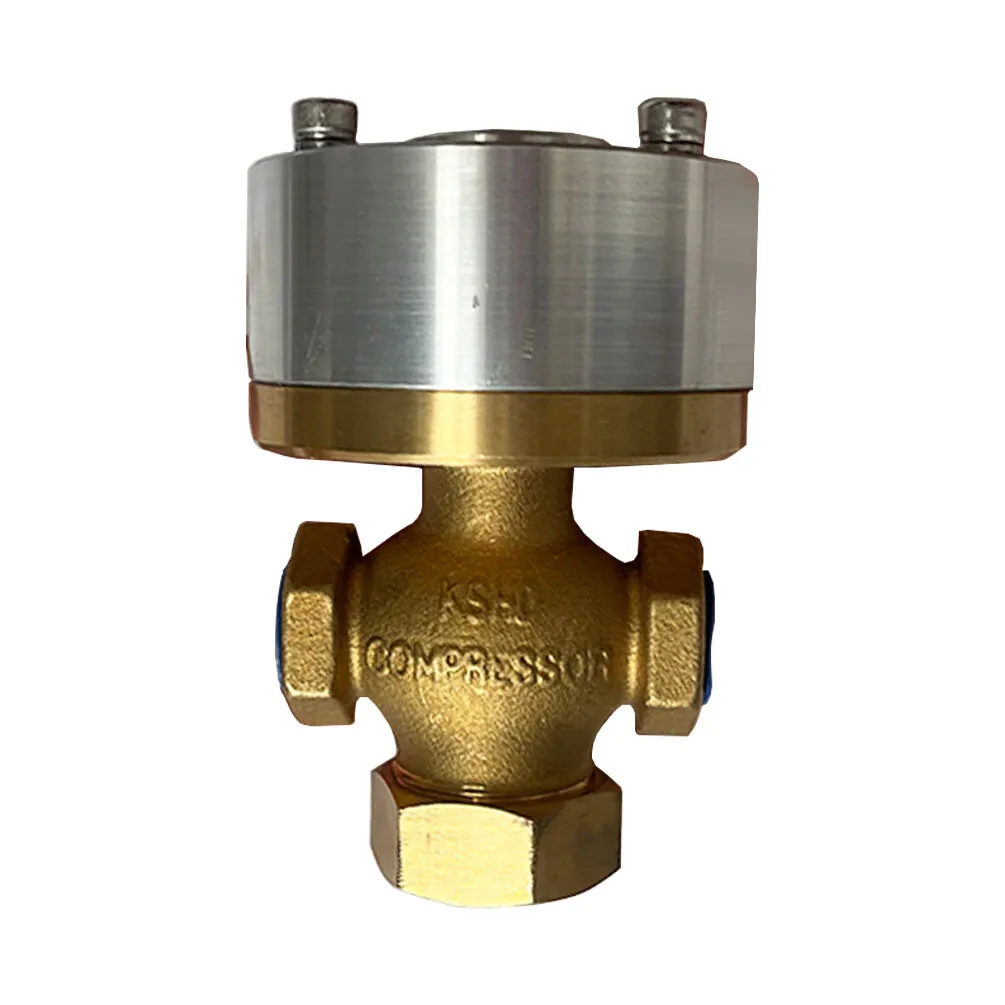 02250069-820 Vent Valve for Sullair Screw Portable Air Compressor Valve Blowdown
02250069-820 Vent Valve for Sullair Screw Portable Air Compressor Valve Blowdown