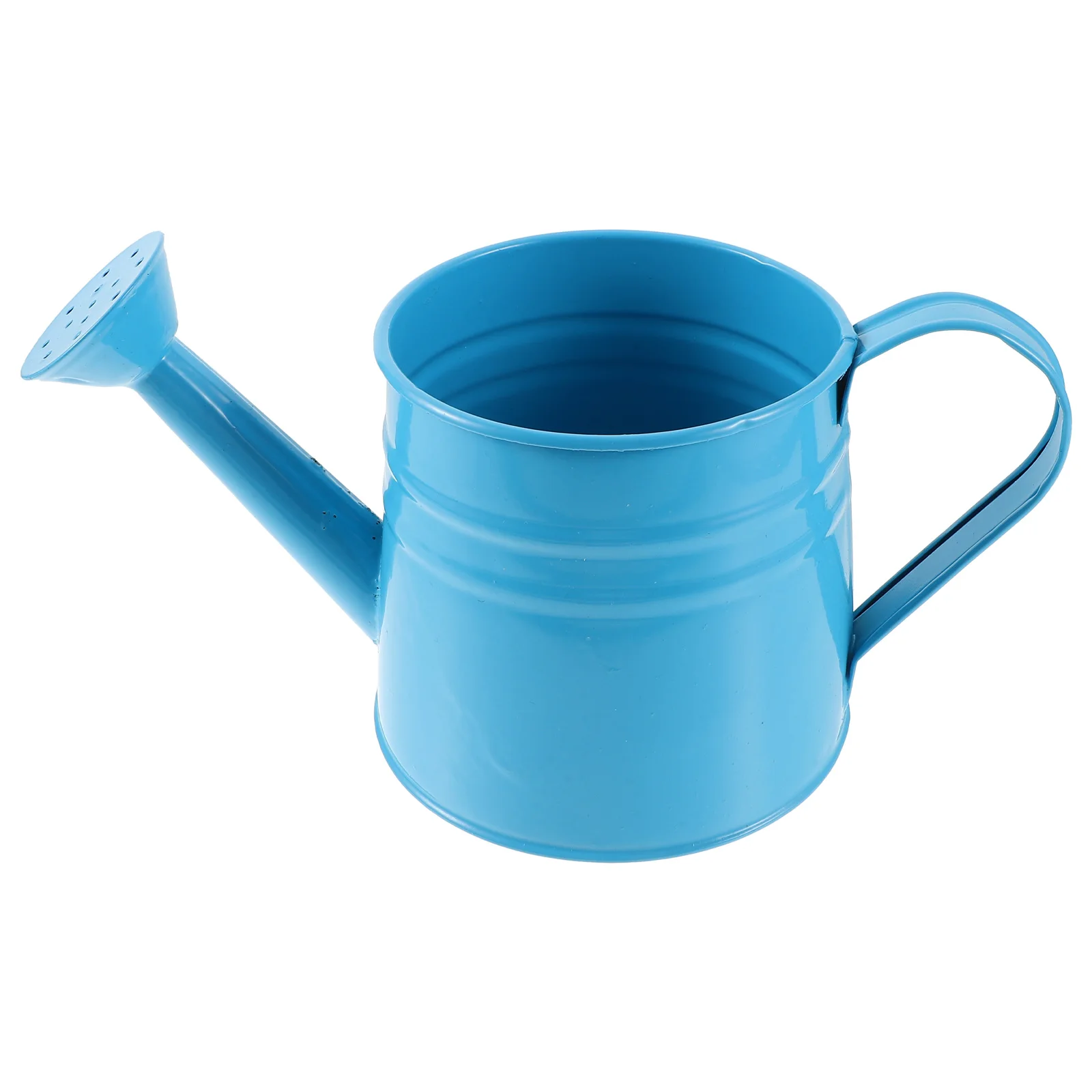 Iron Watering Can for Plants Succulents Gardening Kettle Durable Long Term Use Flower Pot Sprinkler
Iron Watering Can for Plants Succulents Gardening Kettle Durable Long Term Use Flower Pot Sprinkler