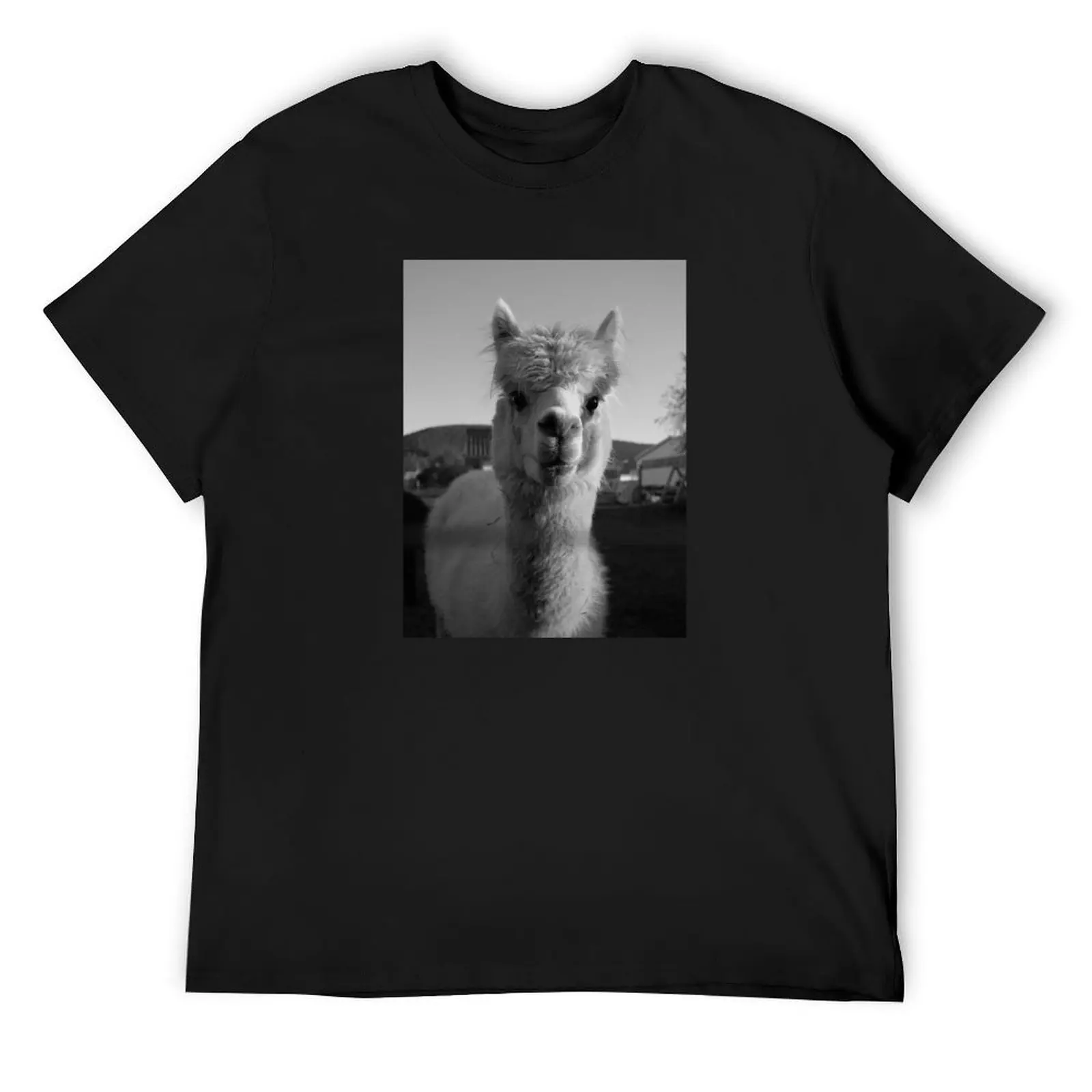 Alpaca Black & White Lama Peru Alpaka Sweet / ALPACA LOVE Collection T-Shirt valentines boutique clothes t shirts for men
Alpaca Black & White Lama Peru Alpaka Sweet / ALPACA LOVE Collection T-Shirt valentines boutique clothes t shirts for men