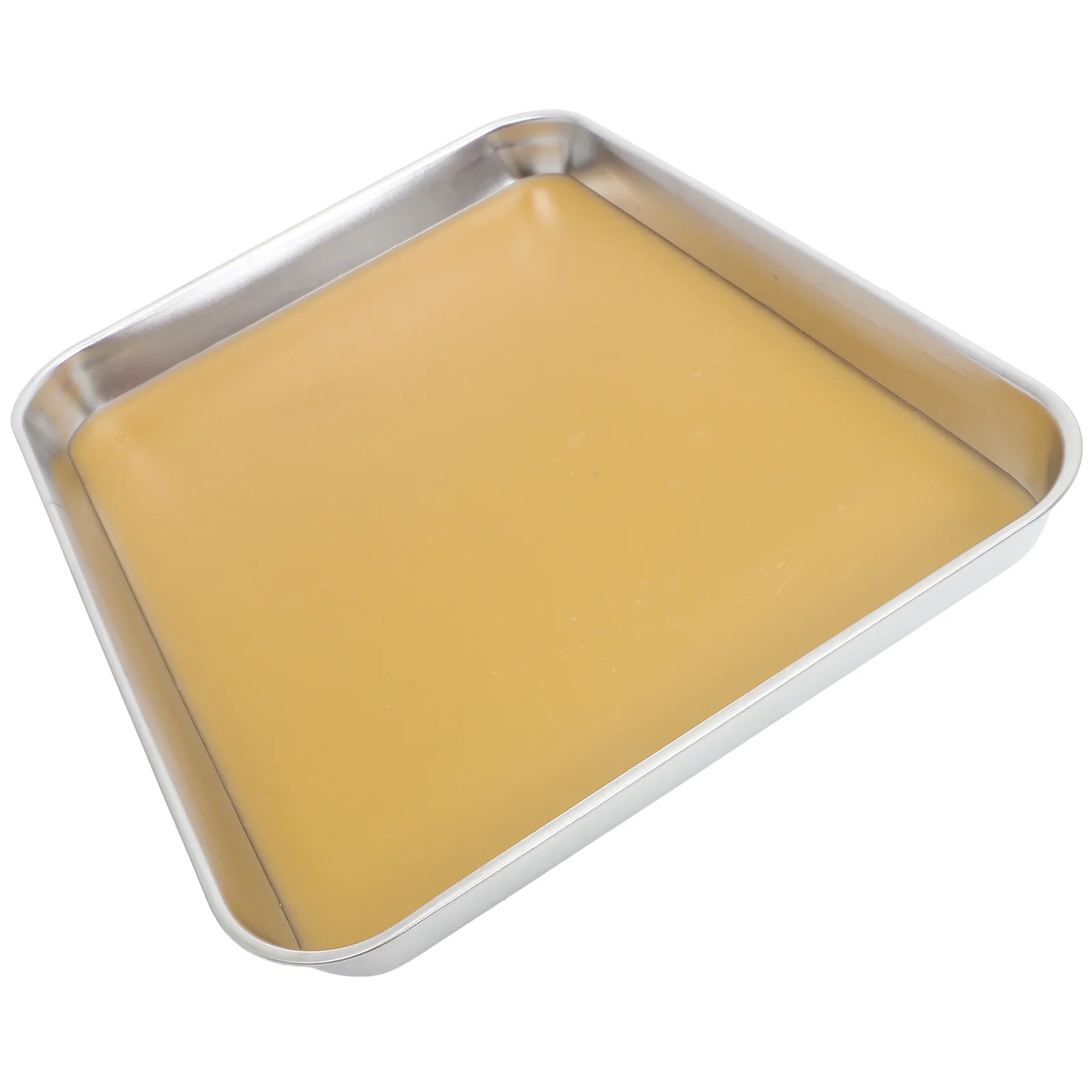 Dissection Pan Stainless Steel Wax Lined Laboratory For Specimen Dissection Scientific Experiment Education Tool
Dissection Pan Stainless Steel Wax Lined Laboratory For Specimen Dissection Scientific Experiment Education Tool