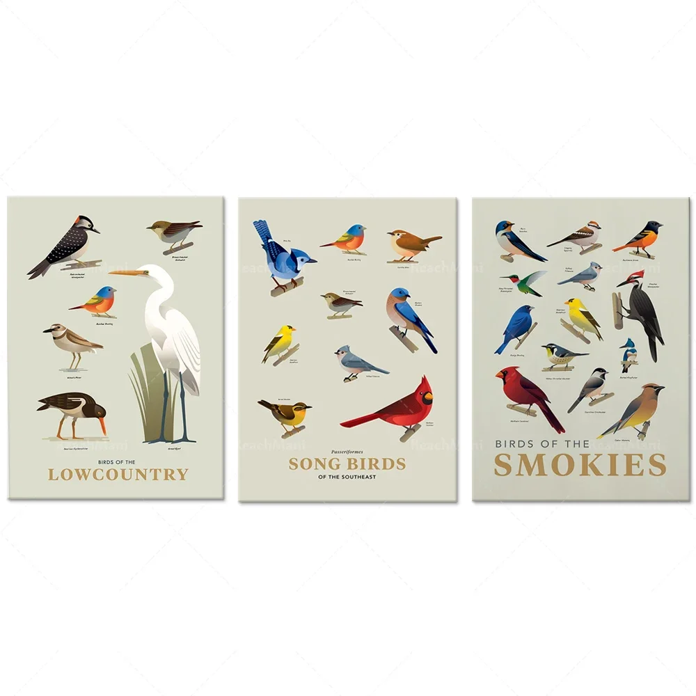 Fog Birds in the Forest Print | Ornithology | Songbirds in Southeast Art Prints | Ornithology Print Posters
Fog Birds in the Forest Print | Ornithology | Songbirds in Southeast Art Prints | Ornithology Print Posters