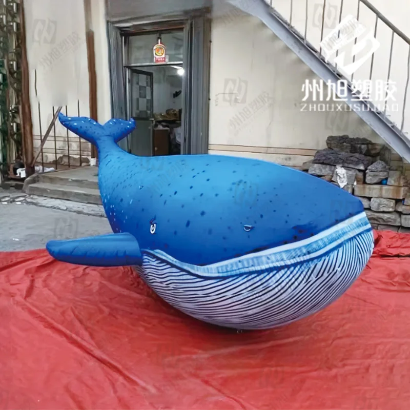 Giant Marine animal models of inflatable blue whales decorated with live whales
Giant Marine animal models of inflatable blue whales decorated with live whales