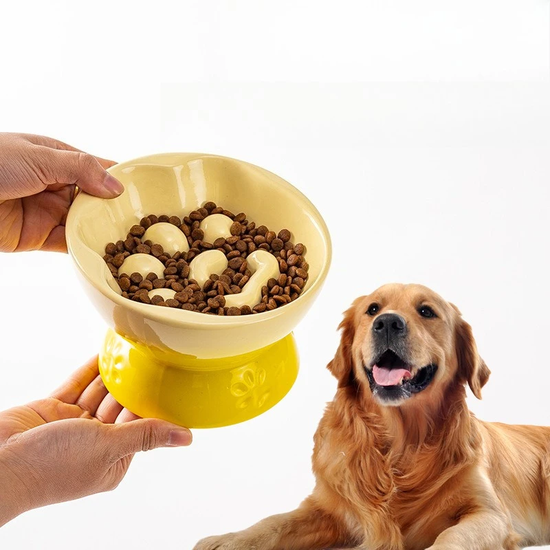 Ceramic Elevated Slow Feeder Pet Bowl Anti Choke Cat Dog Bowls with Slanted Design
Ceramic Elevated Slow Feeder Pet Bowl Anti Choke Cat Dog Bowls with Slanted Design