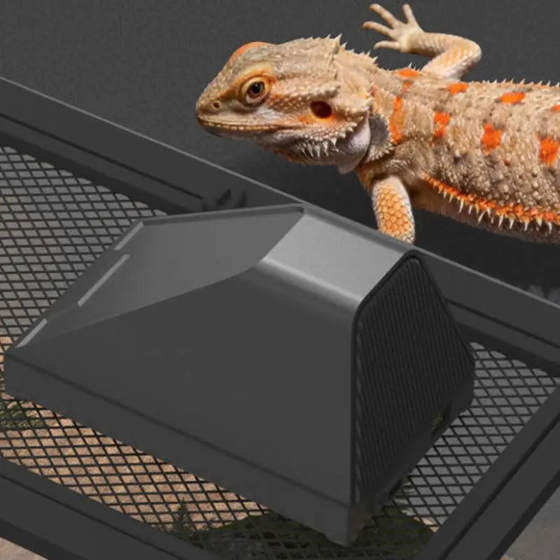 1pc Reptiles Tilt Lamp Shade Rainforest Tank Desert UVA UVB Ceramic Heating Lamp Anti-scald Reptile Insulation
1pc Reptiles Tilt Lamp Shade Rainforest Tank Desert UVA UVB Ceramic Heating Lamp Anti-scald Reptile Insulation