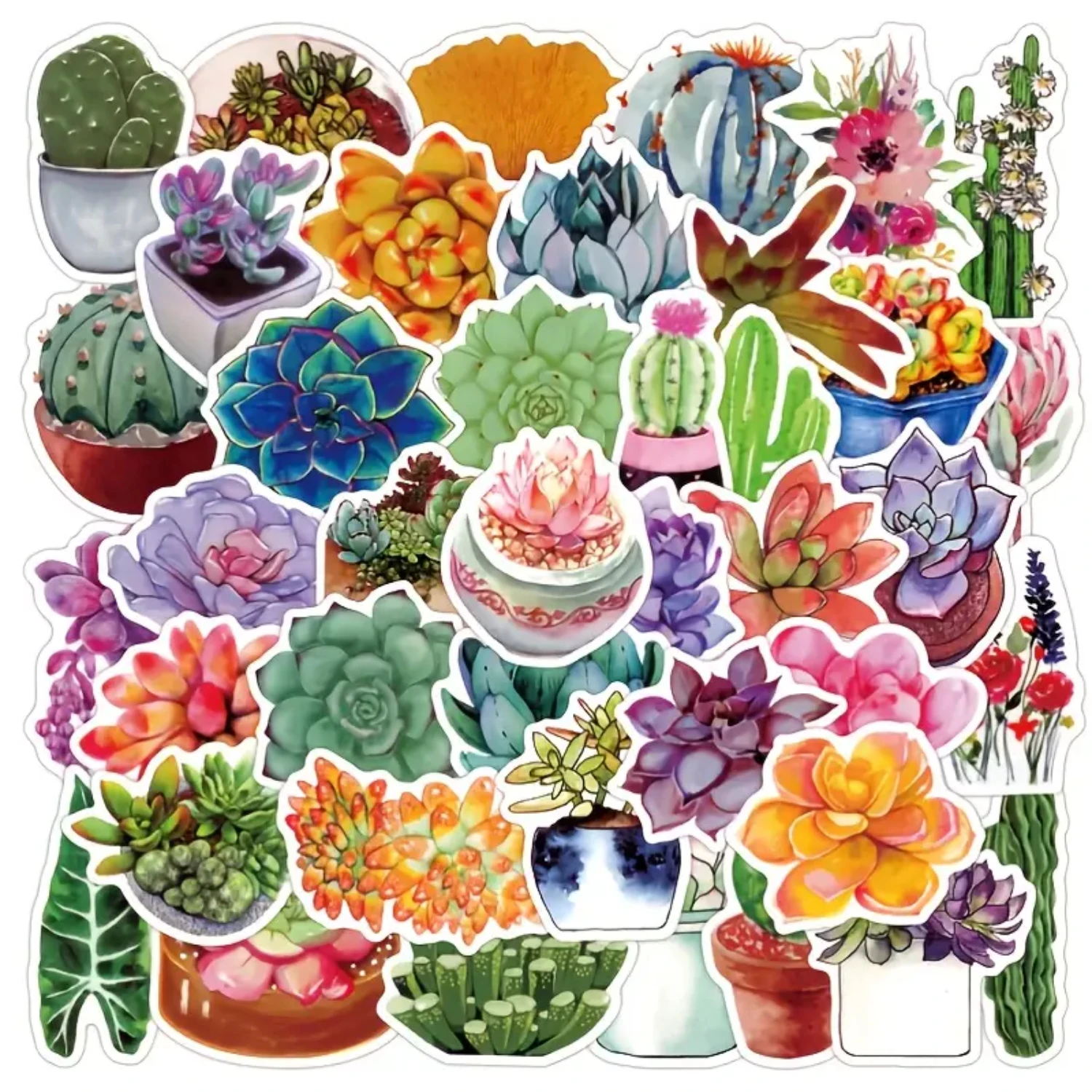 50 Colorful and Vibrant Waterproof Kids Succulent Stickers Cute Set for Laptops, Water Bottles, Guitars, Phone Cases, Skateboar
50 Colorful and Vibrant Waterproof Kids Succulent Stickers Cute Set for Laptops, Water Bottles, Guitars, Phone Cases, Skateboar