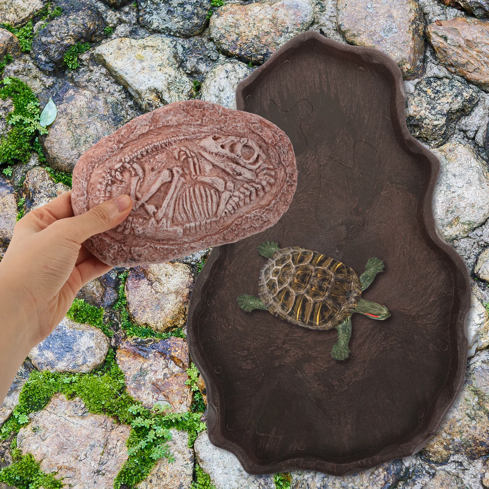 Trilobite Fossil Decor Resin Dinosaur Specimen Stone Paleontology Teaching Props Reptile Tank Decoration Landscape Ornament
Trilobite Fossil Decor Resin Dinosaur Specimen Stone Paleontology Teaching Props Reptile Tank Decoration Landscape Ornament