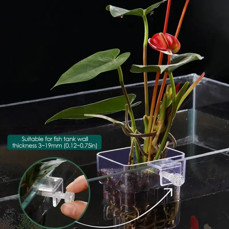 Aquarium Water Grass Cup Aquarium Plant Basket clear Fish Tank Hanging Decorations Pot Multiple plant hydroponic planting basket
Aquarium Water Grass Cup Aquarium Plant Basket clear Fish Tank Hanging Decorations Pot Multiple plant hydroponic planting basket