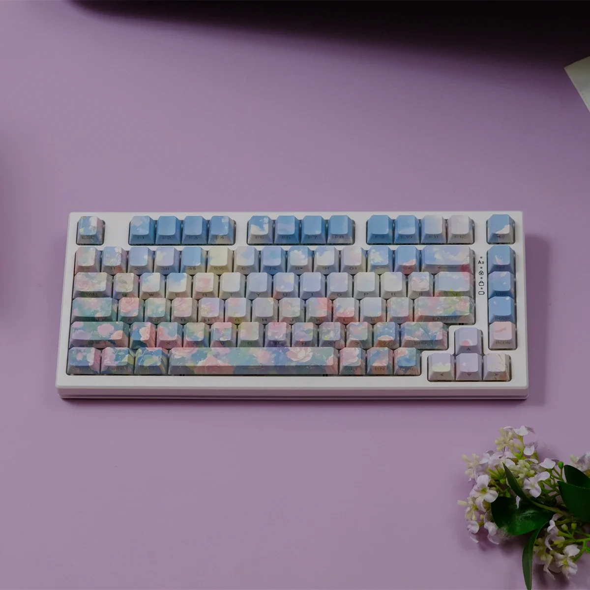 Rose Garden Side Engraved Keycap PBT Original Height, Sublimation, Mechanical Keyboard Cap Wooting Rain 75
Rose Garden Side Engraved Keycap PBT Original Height, Sublimation, Mechanical Keyboard Cap Wooting Rain 75