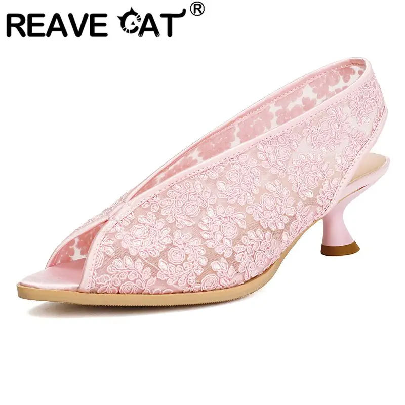 REAVE CAT 2025 Модные новые дизайнерские женские сандалии с острым носком на маленьком каблуке 5 см без шнуровки с вышивкой из дышащей сетки, большой размер 45 46
REAVE CAT 2025 Модные новые дизайнерские женские сандалии с острым носком на маленьком каблуке 5 см без шнуровки с вышивкой из дышащей сетки, большой размер 45 46