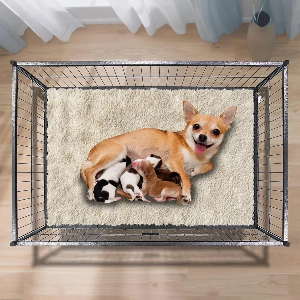43" Dog Whelping Box for Puppies, Heavy Duty Metal Whelping Box for Small Breed Dogs with Washable Plastic Floor, Removable Tray 
43" Dog Whelping Box for Puppies, Heavy Duty Metal Whelping Box for Small Breed Dogs with Washable Plastic Floor, Removable Tray