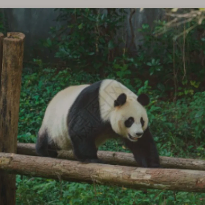 MJX Hyper Go 1/14 14211 14301 14302 14303 Металлический задний корпус коробки передач Корпус дифференциала Запчасти для обновления радиоуправляемого автомобиля
MJX Hyper Go 1/14 14211 14301 14302 14303 Металлический задний корпус коробки передач Корпус дифференциала Запчасти для обновления радиоуправляемого автомобиля