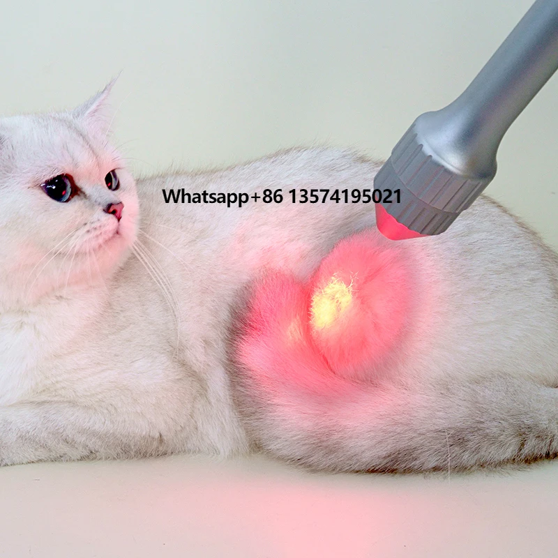 Veterinary Class IV Physical Therapy Treatment Machine Animal Pet 810nm 980nm for Vet Surgical Fast Rehabilitation
Veterinary Class IV Physical Therapy Treatment Machine Animal Pet 810nm 980nm for Vet Surgical Fast Rehabilitation