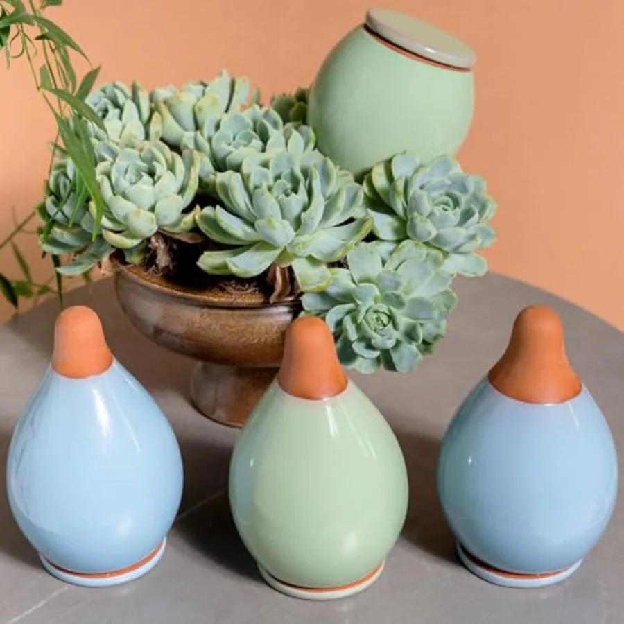 MOUGIGI -Pack Self Watering Planter Insert - Blue and Green Ceramic Watering Globes for Indoor Plants Terracotta Bulbs and Smal
MOUGIGI -Pack Self Watering Planter Insert - Blue and Green Ceramic Watering Globes for Indoor Plants Terracotta Bulbs and Smal