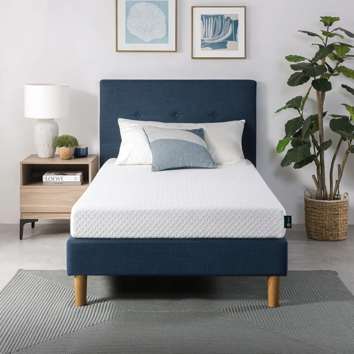 6 Inch Twin Cooling Memory Foam Mattress, Fiberglass Free, Medium Feel, Breathable Layers, Certified Safe
6 Inch Twin Cooling Memory Foam Mattress, Fiberglass Free, Medium Feel, Breathable Layers, Certified Safe