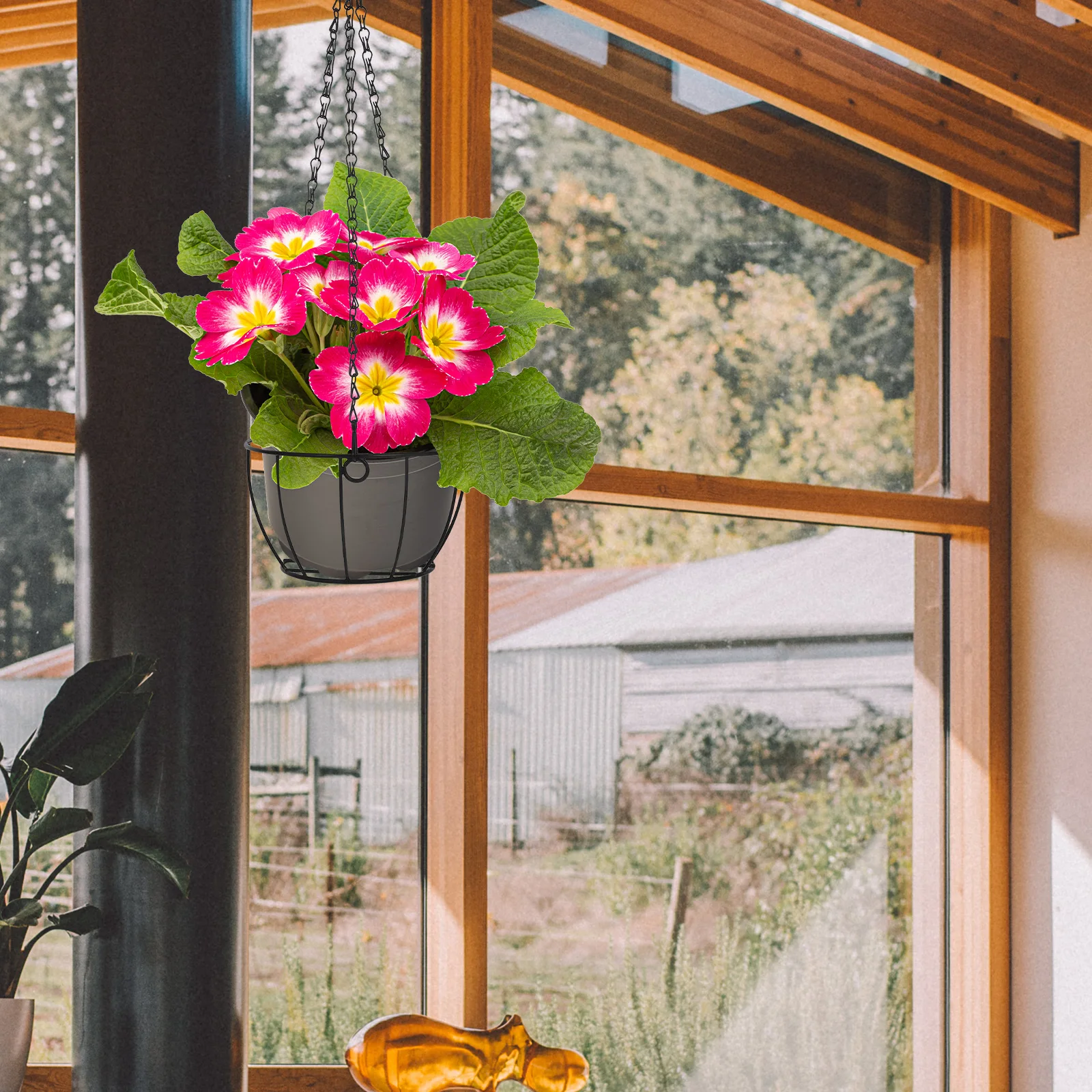 Hanging Basket Flower Pot Iron Planter Baskets for Plants Balcony Garden Spider Succulents Metal Wire Plants Holder Round Flower
Hanging Basket Flower Pot Iron Planter Baskets for Plants Balcony Garden Spider Succulents Metal Wire Plants Holder Round Flower
