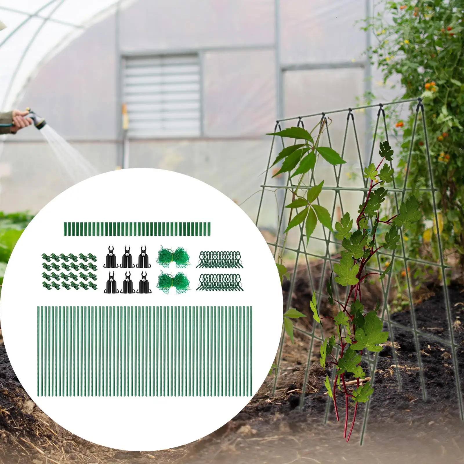 Решетка огурца A Рама Садовая решетка Опора для растений с сеткой для вьющихся растений
Решетка огурца A Рама Садовая решетка Опора для растений с сеткой для вьющихся растений