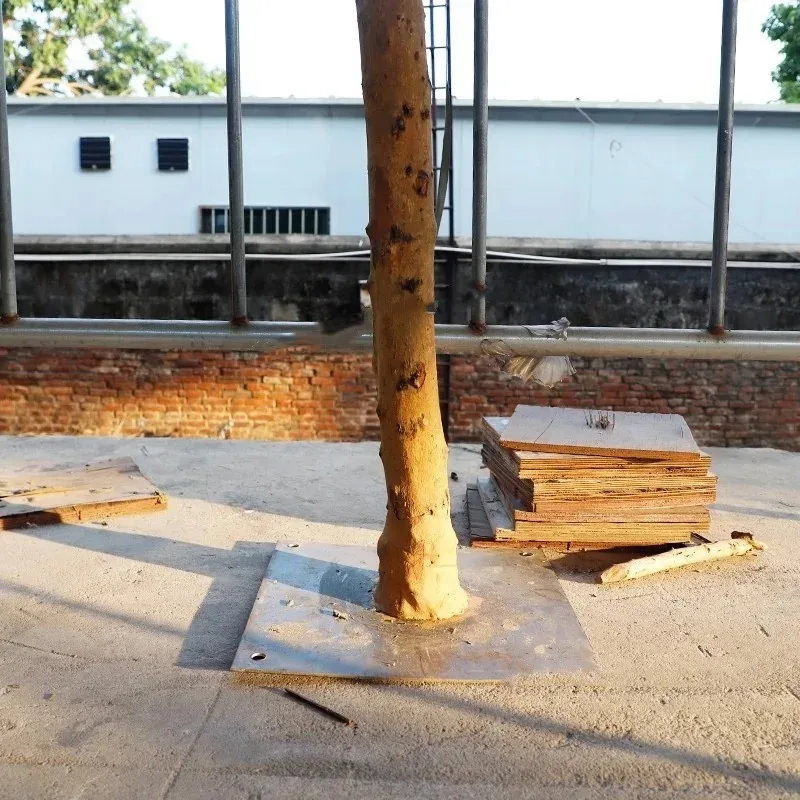 Моделирование красного клена, свадебный торговый центр, отель, рекомендуемая имитация растения, ландшафтное украшение, настоящий деревянный столб
Моделирование красного клена, свадебный торговый центр, отель, рекомендуемая имитация растения, ландшафтное украшение, настоящий деревянный столб