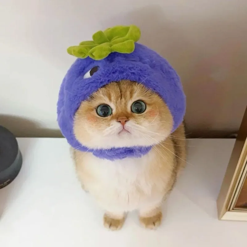 Furry Bear Hat for Pets Cute Cat Warm Hat Cat Dog Photo Decorations Pet Products Supplies Funny Plush Head Cover Accessories
Furry Bear Hat for Pets Cute Cat Warm Hat Cat Dog Photo Decorations Pet Products Supplies Funny Plush Head Cover Accessories