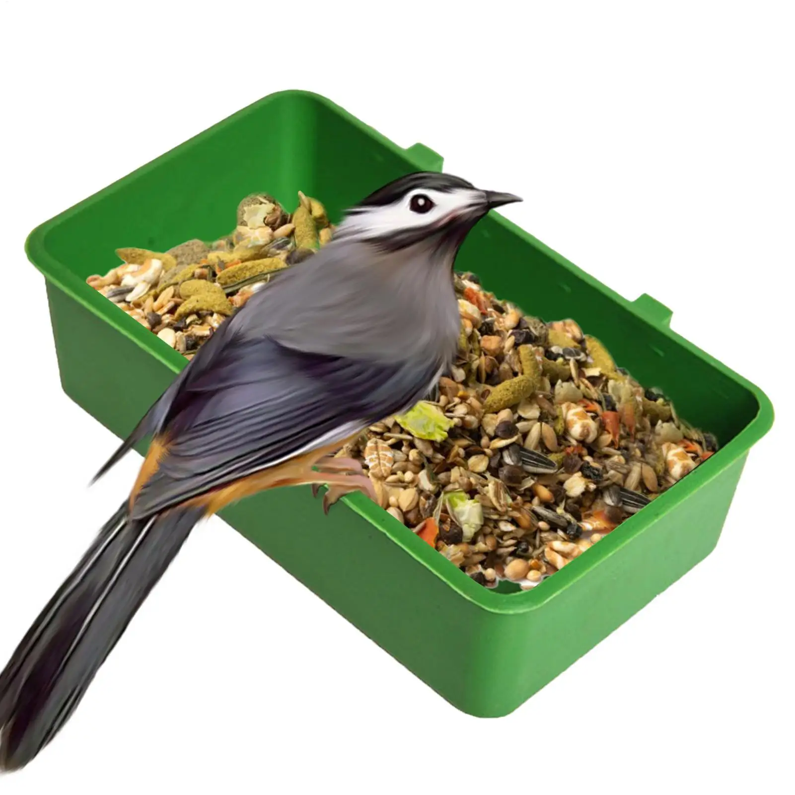 Bird Baths Tub Bird Water Bath Tub Pet Bird Bowl Bathing Box Hanging Small Parrot Cage Room Feeder Parrot Cage Accessories
Bird Baths Tub Bird Water Bath Tub Pet Bird Bowl Bathing Box Hanging Small Parrot Cage Room Feeder Parrot Cage Accessories