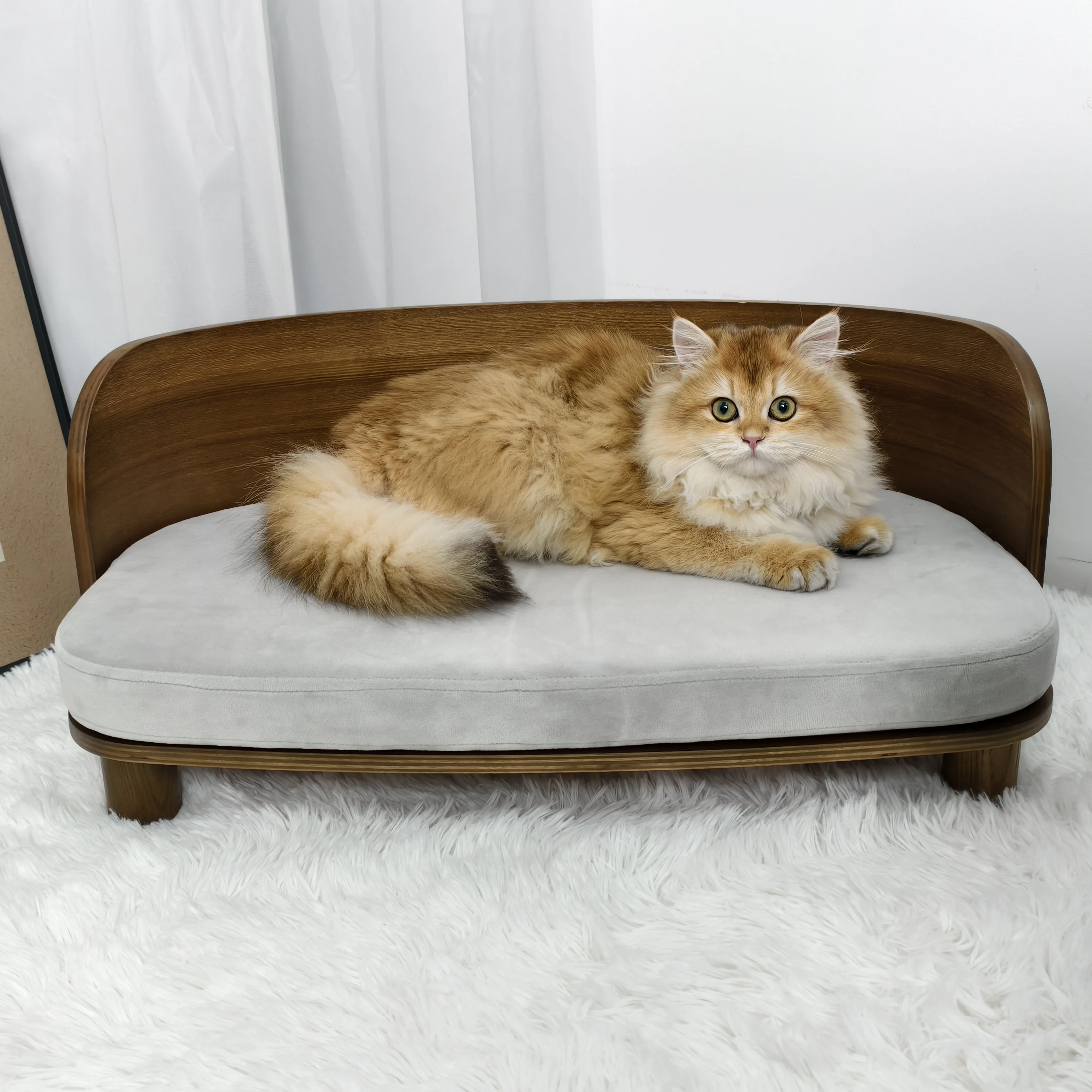 S/M Elevated Cat Bed Indoor Small Cats and Puppies Pet Dog Chair Couch Bed with Wooden Frame & Cozy Sponge Pad
S/M Elevated Cat Bed Indoor Small Cats and Puppies Pet Dog Chair Couch Bed with Wooden Frame & Cozy Sponge Pad