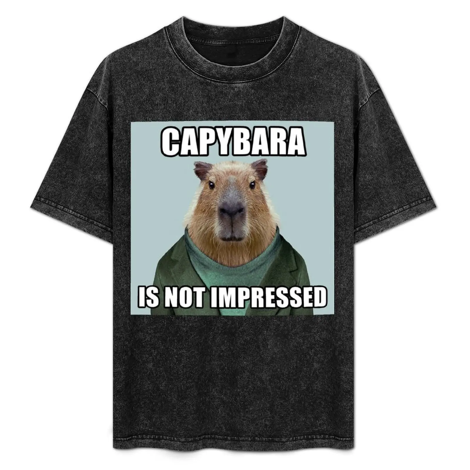 Capybara Is Not Impressed T-Shirt customizeds animal prinfor boys Louboutins luxury clothing labubu t shirts for men cotton
Capybara Is Not Impressed T-Shirt customizeds animal prinfor boys Louboutins luxury clothing labubu t shirts for men cotton