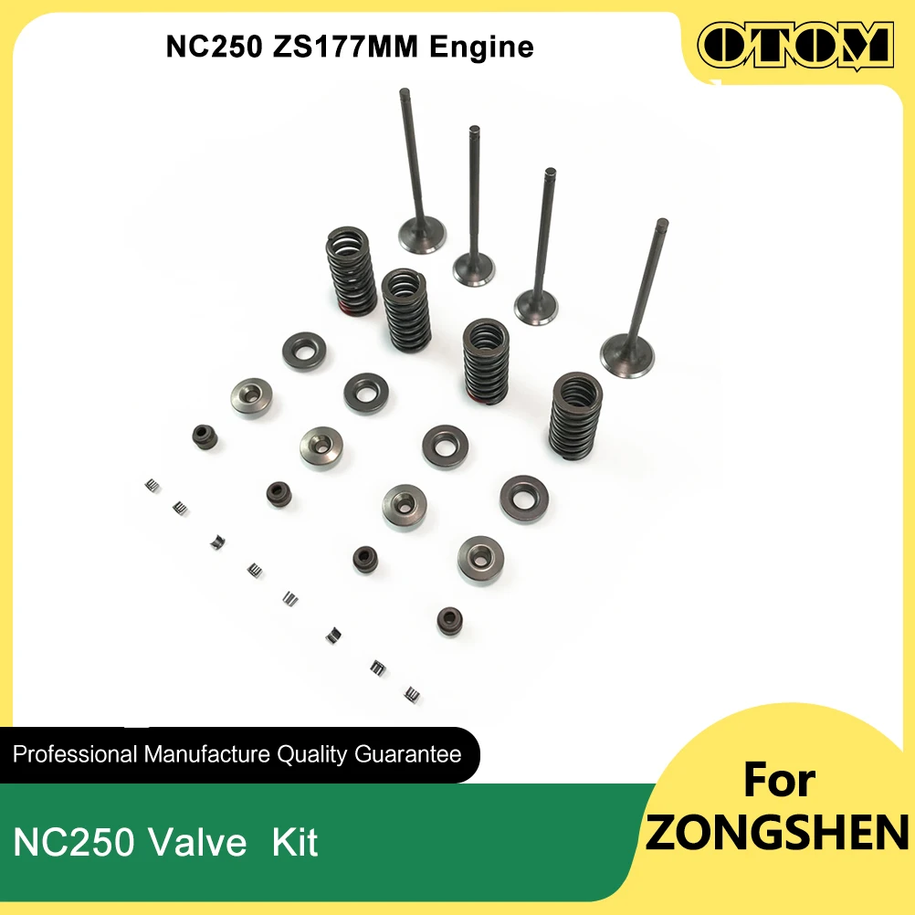 OTOM ZS177MM мотоциклетный впускной и выпускной клапан, стержень пружинного седла, сальник, фиксатор, комплект зажимов для ZONGSHEN NC250 KAYO BOSUER GR BRZ, детали 
OTOM ZS177MM мотоциклетный впускной и выпускной клапан, стержень пружинного седла, сальник, фиксатор, комплект зажимов для ZONGSHEN NC250 KAYO BOSUER GR BRZ, детали