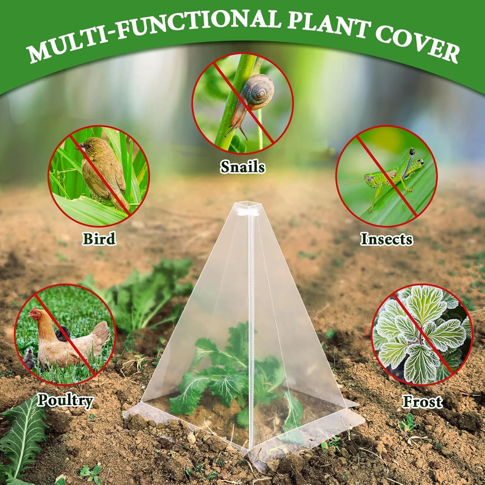 20/40pcs Garden Plant Bell Jar Reusable Plant Growth Box Snail-proof/weather-proof Protective Cover Gardening Supplies
20/40pcs Garden Plant Bell Jar Reusable Plant Growth Box Snail-proof/weather-proof Protective Cover Gardening Supplies