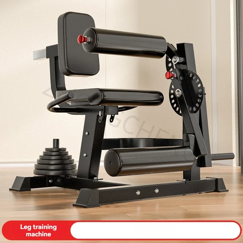 Lower limb strength training: Bending exercises, seated leg flexion and extension leg muscle trainer, quadriceps, home workout
Lower limb strength training: Bending exercises, seated leg flexion and extension leg muscle trainer, quadriceps, home workout