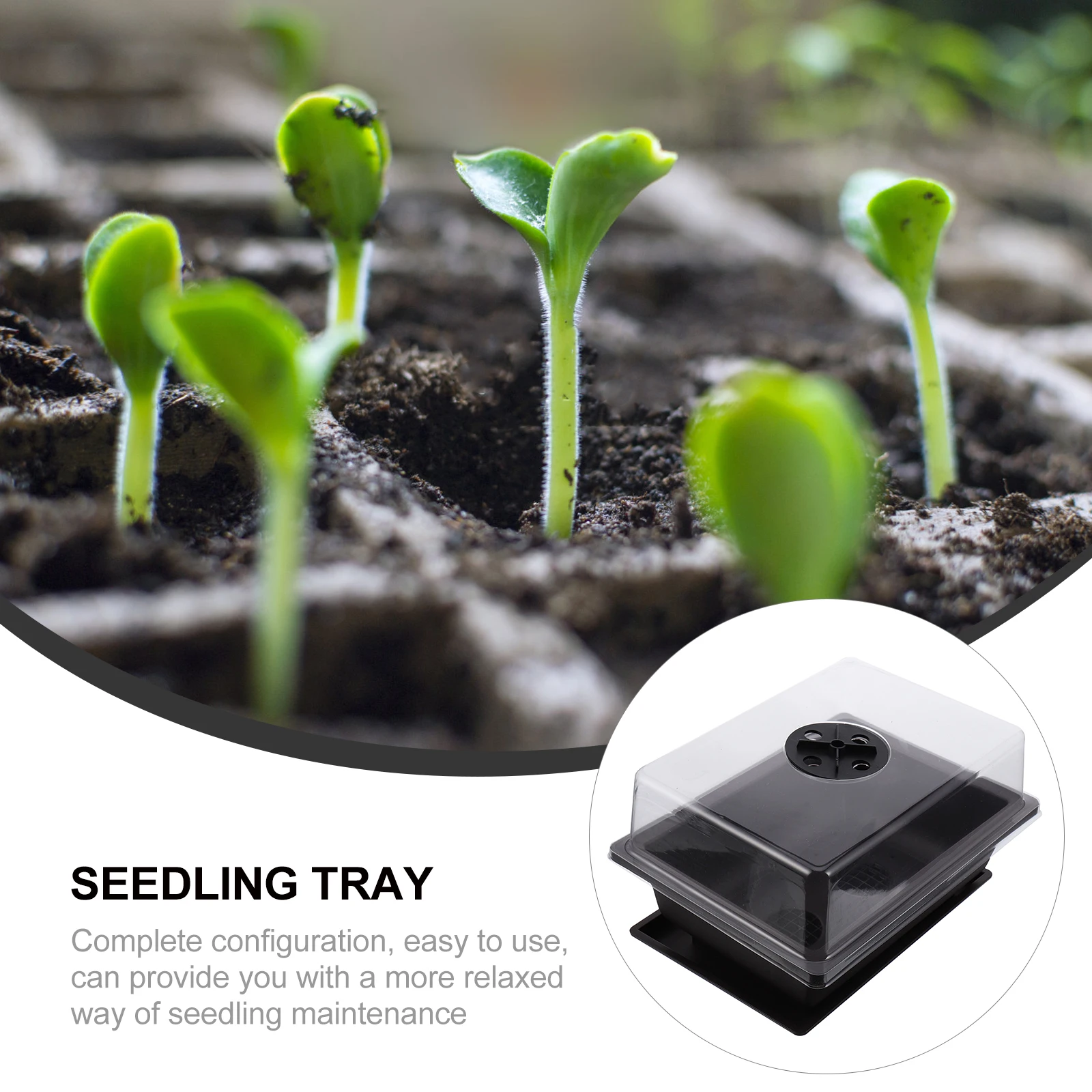 2 set 2 Sets Durable Plastic Plant Germination Tray Hydroponic Transparent Cover Seedling Nursery Pot Succulent Planter
2 set 2 Sets Durable Plastic Plant Germination Tray Hydroponic Transparent Cover Seedling Nursery Pot Succulent Planter