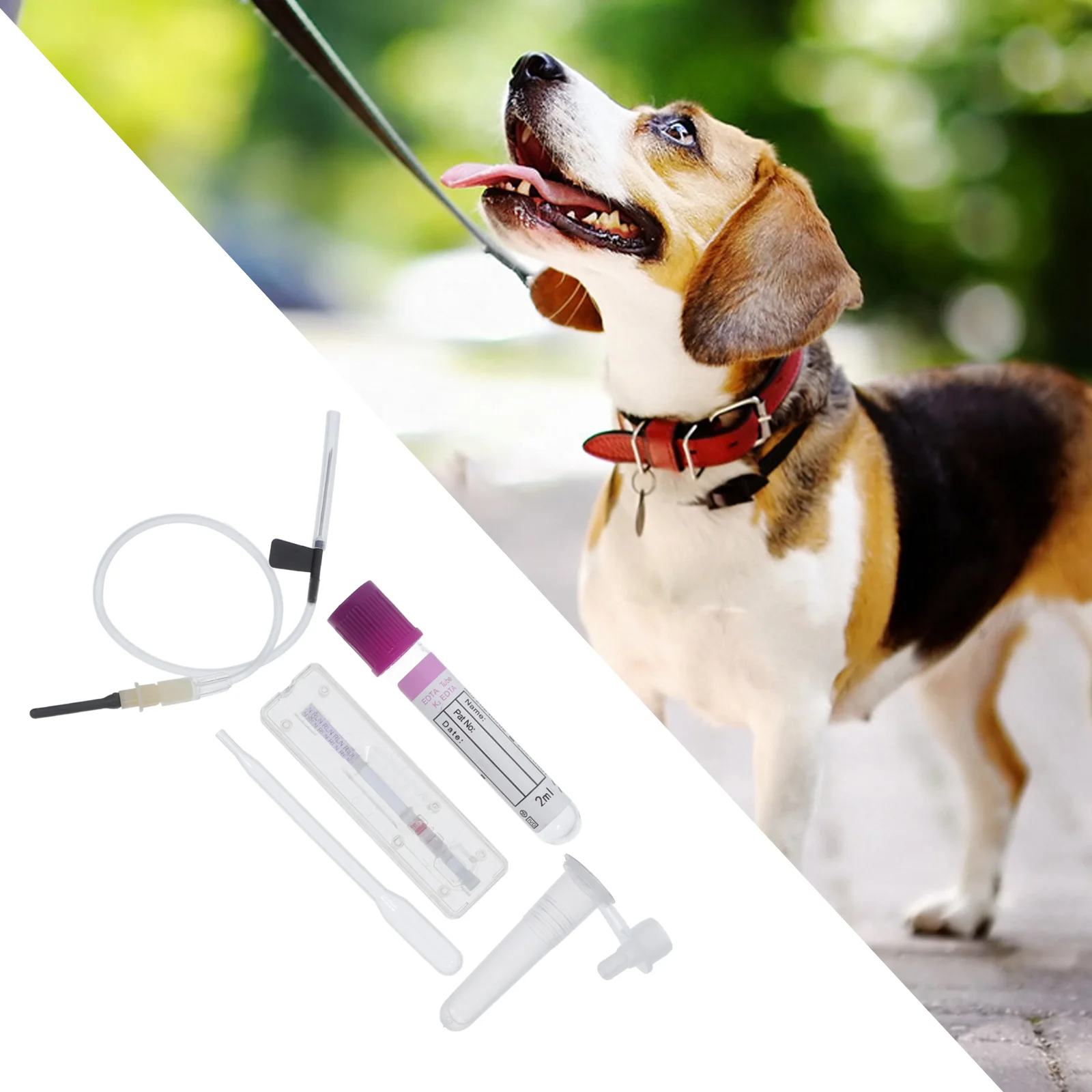Dog Early Pregnancy Test Strip Cow Kit Ovulation Paper for Puppy Detection Tools Tube Pregnant Pet
Dog Early Pregnancy Test Strip Cow Kit Ovulation Paper for Puppy Detection Tools Tube Pregnant Pet