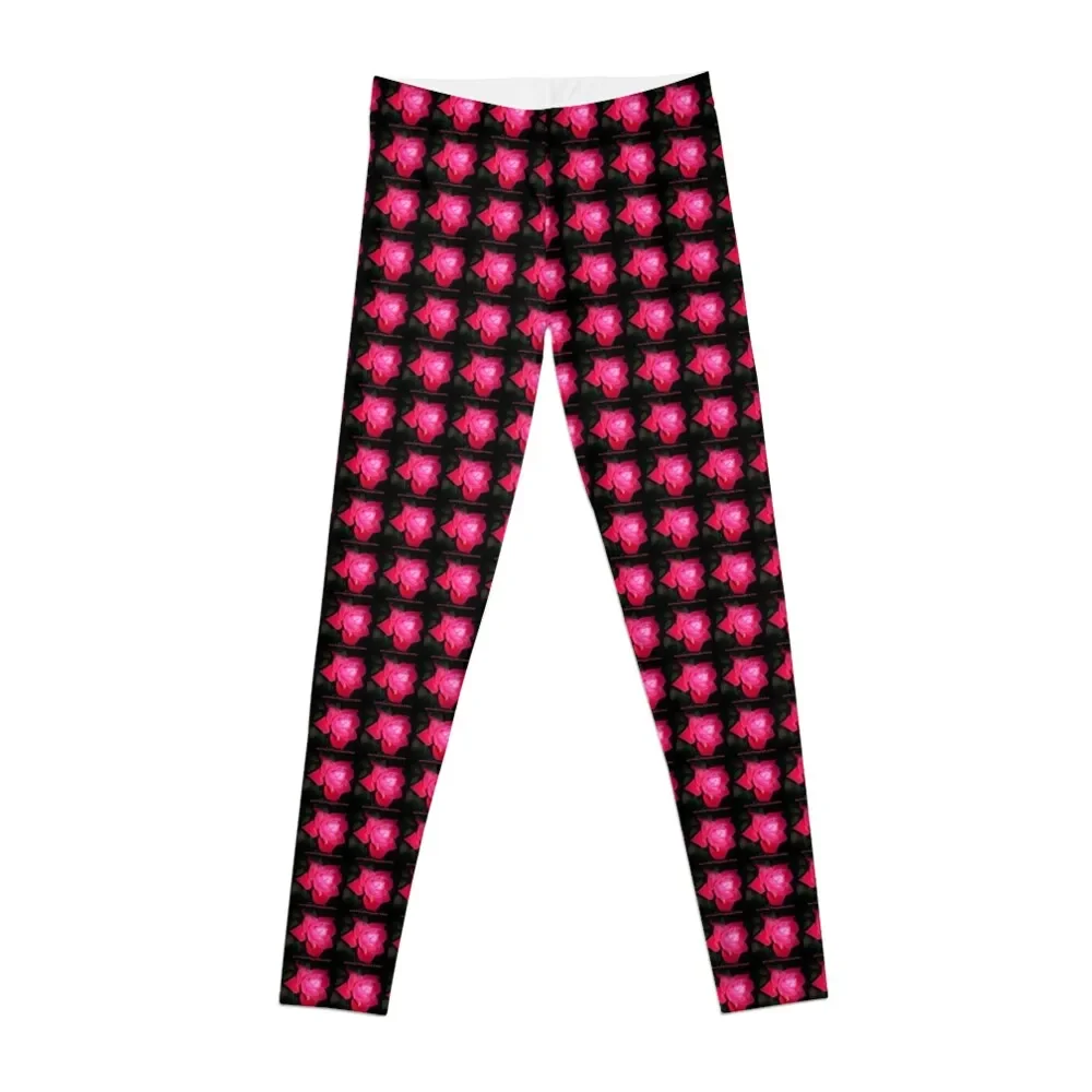 Dark Knockout Rose Leggings sportswear gym Women's sports pants Leginsy push up Fitness's gym clothes Womens Leggings
Dark Knockout Rose Leggings sportswear gym Women's sports pants Leginsy push up Fitness's gym clothes Womens Leggings