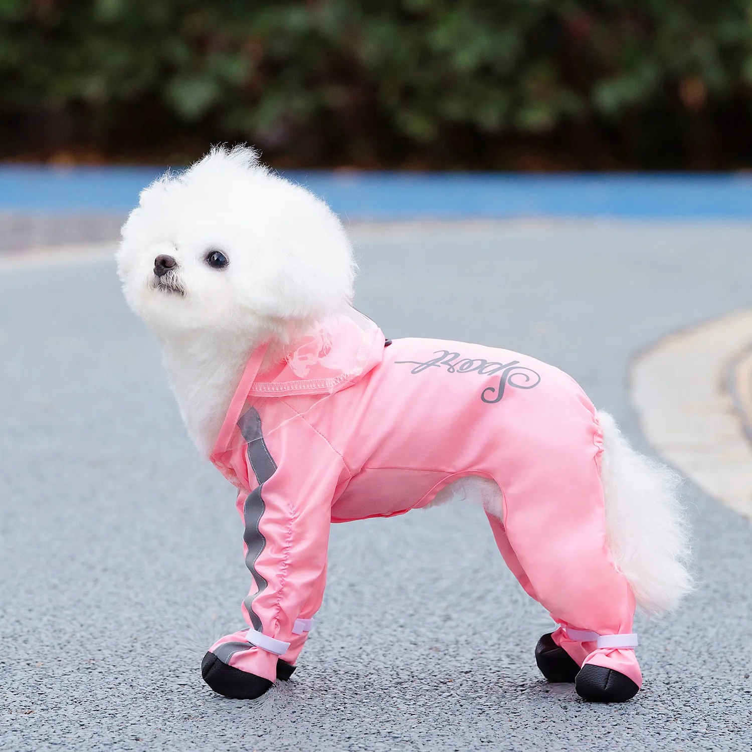 Waterproof and breathable dog raincoat extended hat easy to wear four-legged all-inclusive rainproof and windproof pet raincoat
Waterproof and breathable dog raincoat extended hat easy to wear four-legged all-inclusive rainproof and windproof pet raincoat