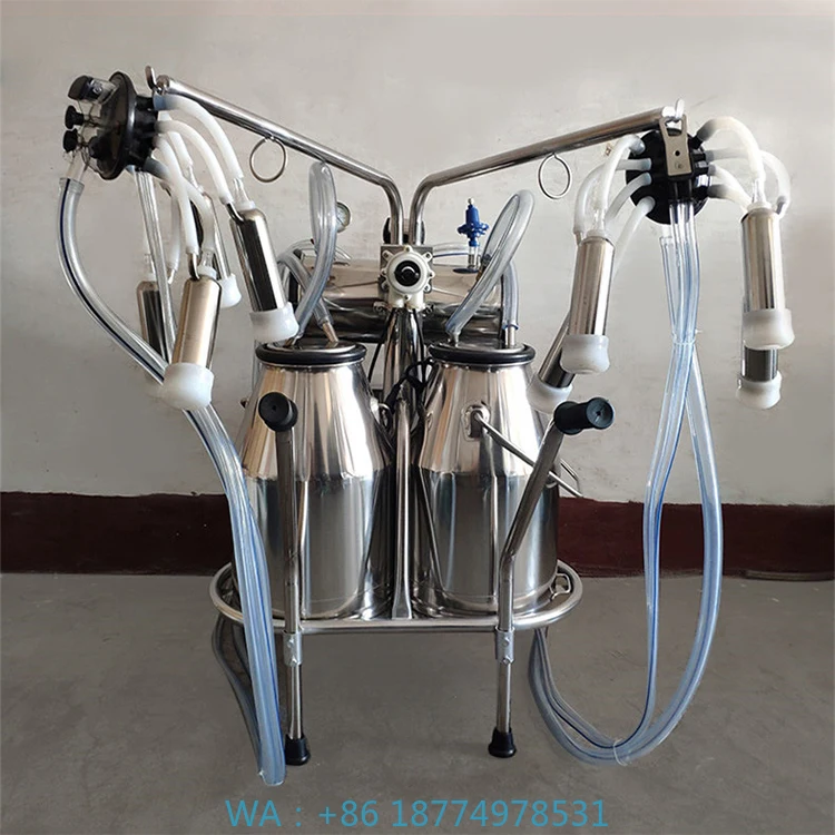 Доильный аппарат для копирования овец и коров на продажу, оптовая продажа, высокое качество, домашняя ферма, портативная высокоточная ферма E
Доильный аппарат для копирования овец и коров на продажу, оптовая продажа, высокое качество, домашняя ферма, портативная высокоточная ферма E