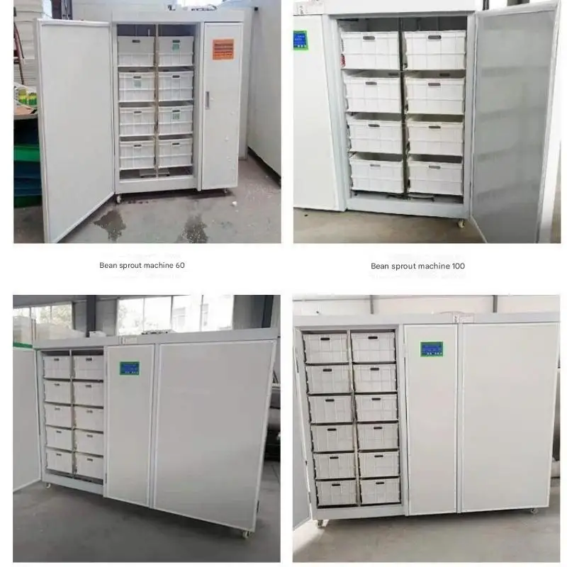 Gold Seller Easy Operation 220V 1.5kW Commercial Hydroponic Mung Bean Sprout Machine-PLC Controlled Farm Use Automatic Processin
Gold Seller Easy Operation 220V 1.5kW Commercial Hydroponic Mung Bean Sprout Machine-PLC Controlled Farm Use Automatic Processin