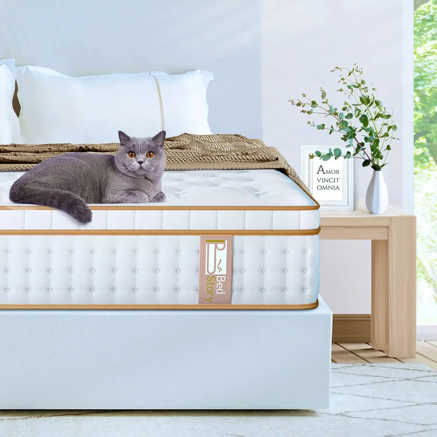 Матрас BedStory Queen, 12-дюймовый гибридный матрас из гелевой пены с эффектом памяти в коробке, матрас королевского размера с карманом в индивидуальной упаковке
Матрас BedStory Queen, 12-дюймовый гибридный матрас из гелевой пены с эффектом памяти в коробке, матрас королевского размера с карманом в индивидуальной упаковке