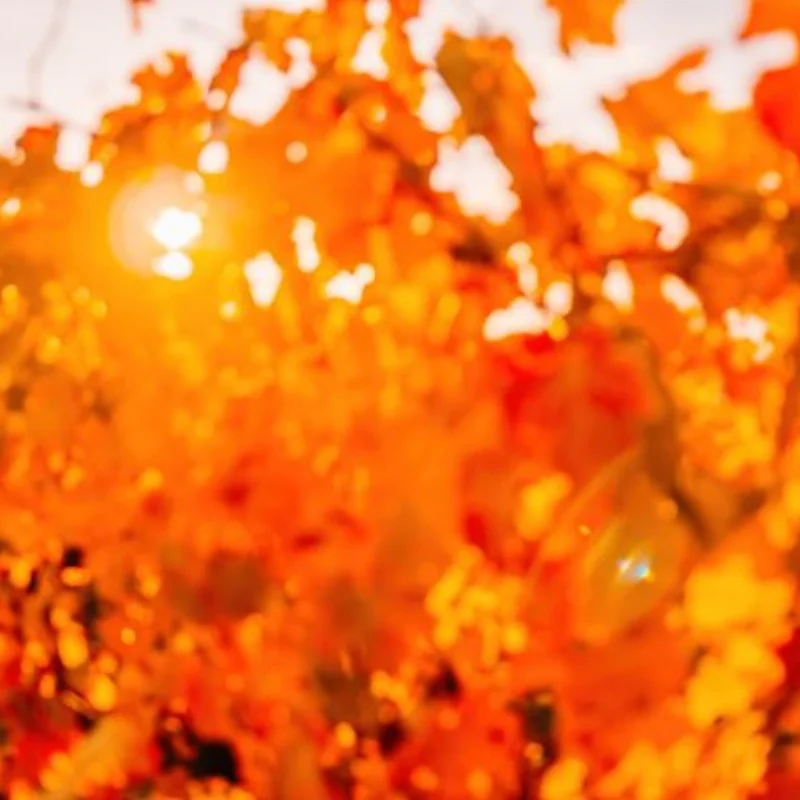 RC Car Gauge,Preofessional,Metal,Practical,Circular RC Measuring Tool Axle Height Measuring Ruler for 1:10 Scale RC Car Vehicles