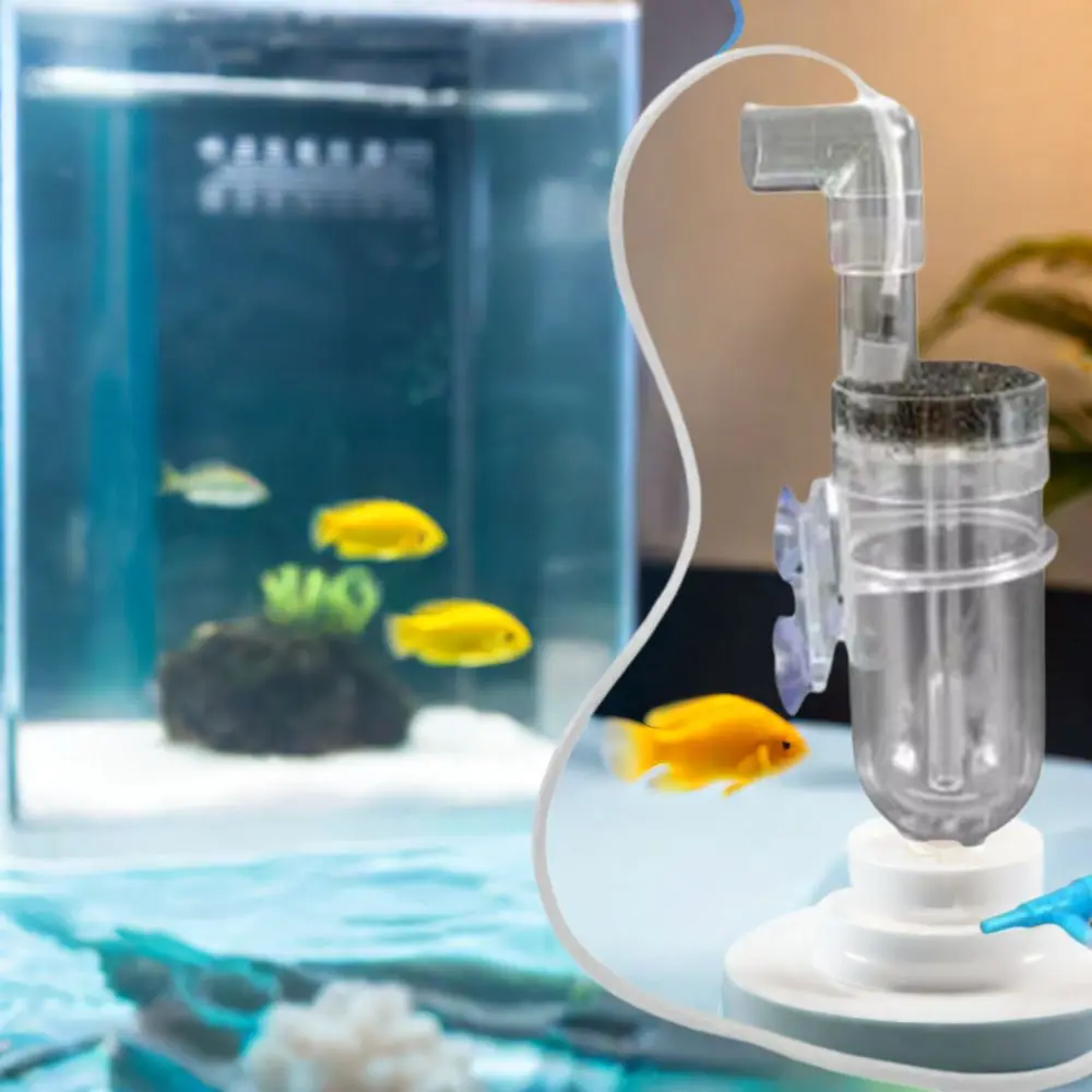 Plastic 60MM Fish Egg Incubator Wall Mounted Simulate Natural Incubation Cichlid Hatchery Ornamental Fish Prevent Fungus
Plastic 60MM Fish Egg Incubator Wall Mounted Simulate Natural Incubation Cichlid Hatchery Ornamental Fish Prevent Fungus